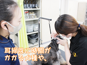 １年生、今日もがんばっています！